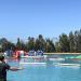 Wake Island Waterpark