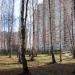Парк в городе Раменское