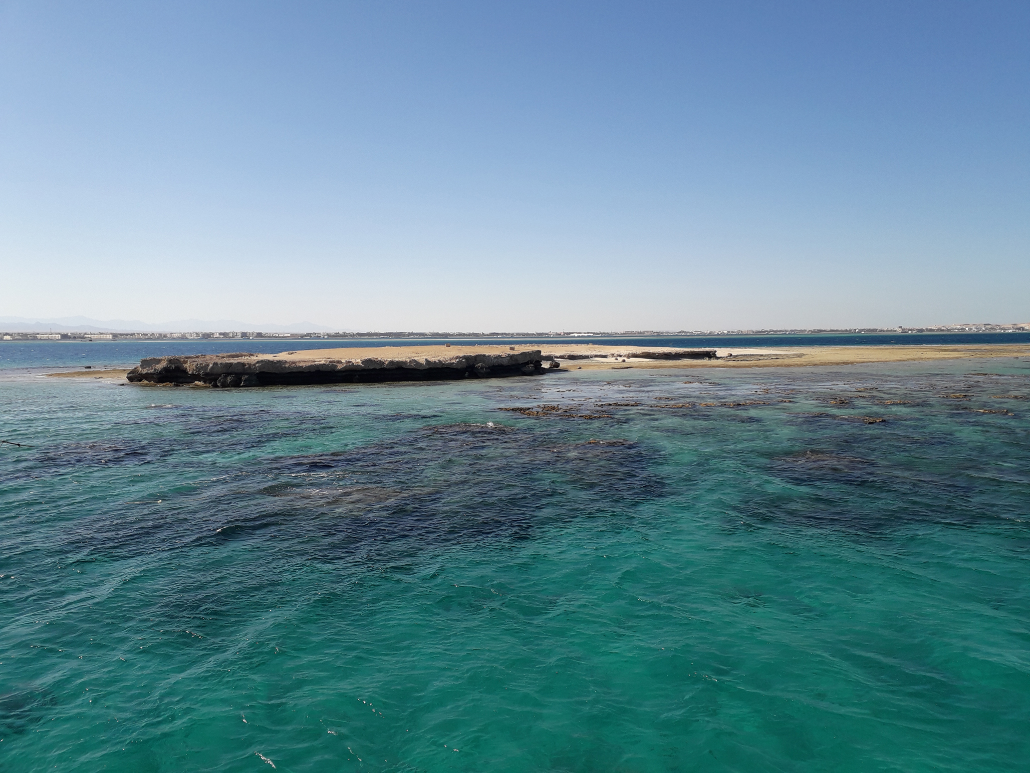 The Surprisingly Delicious Truth About Coral Island Fruit - 2icbbpq
