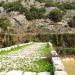 Old Bridge of Nahr El-Kalb in Zouq Mosbeh city