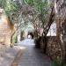 Byblos (Jbeil) Medieval City