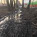 Вырубленная лесополоса в городе Томилино