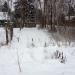 Заболоченный прудик в городе Сергиев Посад