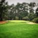 Poppy Hills Golf Course