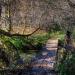 Bridge over a small stream