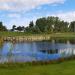 Toiyabe Golf Club