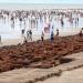 Digha Sea Beach