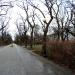 Park Dreszera (Dreszer's Park) in Warsaw city