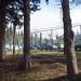 Парковка в городе Сочи
