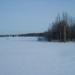 Лисичкино (Ближнее) болото в городе Архангельск