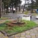 Пень огромного дерева в городе Сочи