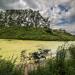 Earthen ramparts of the ancient settlement Mstislavl