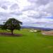 The Course at Wente Vineyards