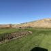 The Course at Wente Vineyards