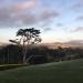 Lake, Ocean & Cliffs Golf Courses - The Olympic Club