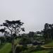 Lake, Ocean & Cliffs Golf Courses - The Olympic Club