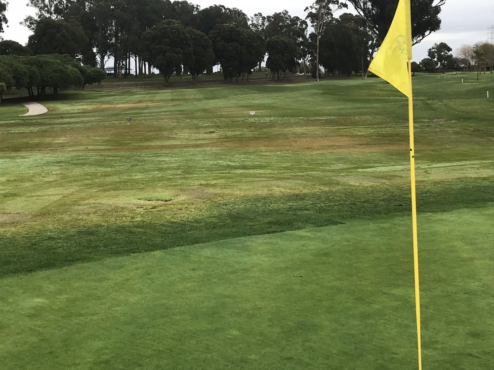 Poplar Creek Golf Course San Mateo, California