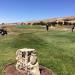 Coyote Creek Golf Club in San Jose, California city