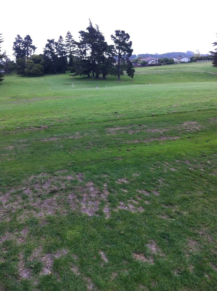 Pajaro Valley Golf Club golf course Pajaro Valley Golf Club golf course
