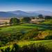 Ridgemark Golf & Country Club