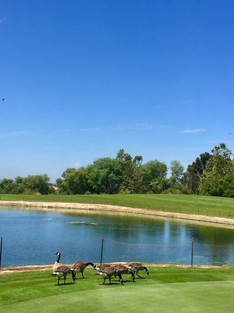 Twin Creeks Golf Course Salinas, California