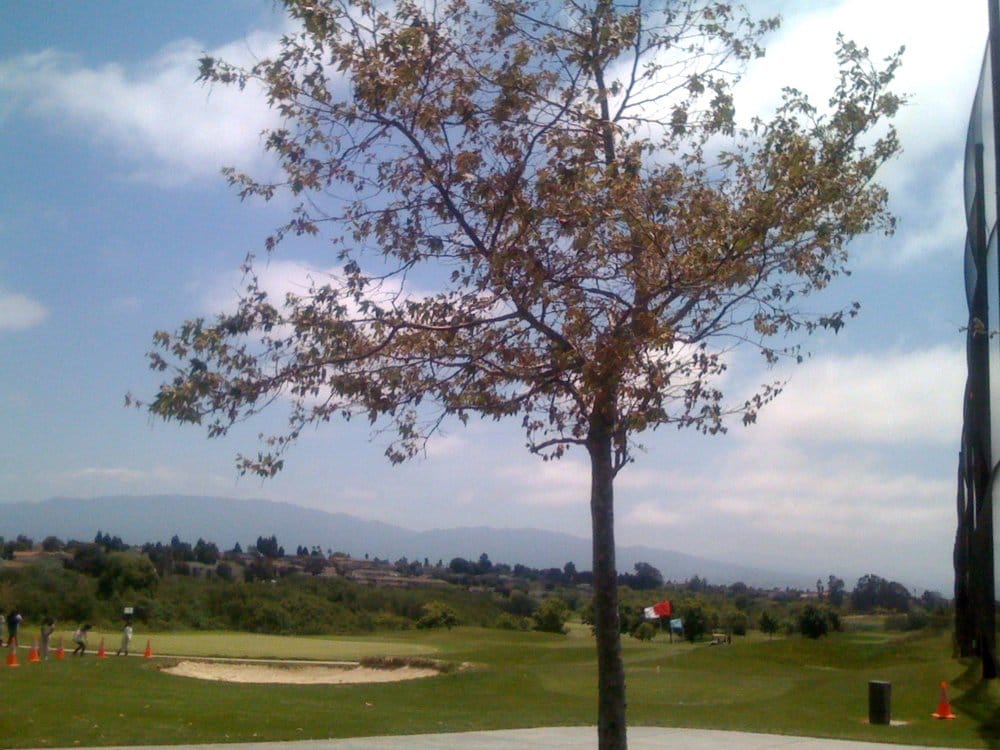 Twin Creeks Golf Course Salinas, California