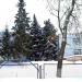 Детский сад № 2 «Рябинушка» в городе Ульяновск
