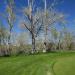 Carson Valley Golf Course