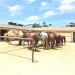 Pebble Beach Equestrian Center