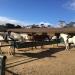 Pebble Beach Equestrian Center