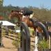 Pebble Beach Equestrian Center