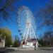Колесо обозрения «52 над уровнем Краснодара» в городе Краснодар