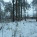 Огороды