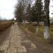 Аллея в городе Часцы