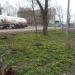 Лесозащитная полоса в городе Славянск