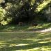 Harding Municipal Golf Course in Los Angeles, California city