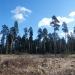 Усадьба Бернгардовка (Христиновка) в городе Всеволожск