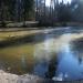 Усадьба Бернгардовка (Христиновка) в городе Всеволожск