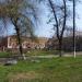 Газон в городе Славянск