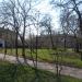 Газон в городе Славянск
