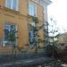 Ели в городе Славянск