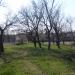 Посадки акации в городе Славянск