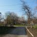 Цветник в городе Славянск