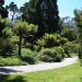 Mescaline Grove in San Francisco, California city