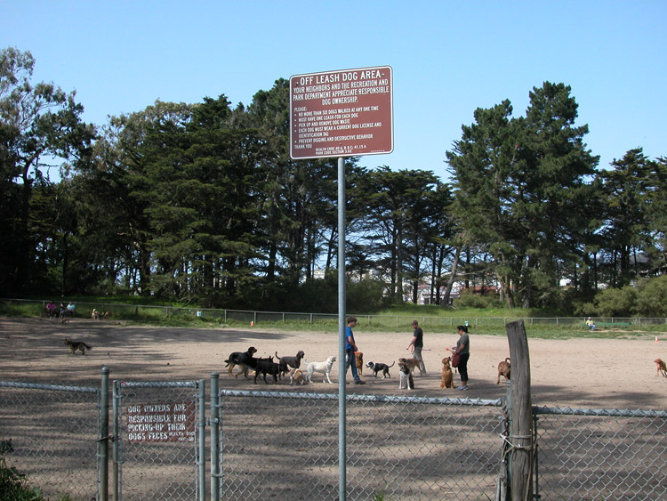 Dog Park - San Francisco, California