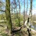 Zewnętrzny park przy Fortach Bema (pl) in Warsaw city