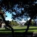 Precita Park in San Francisco, California city