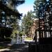 Transamerica Redwood Park in San Francisco, California city