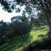 Billy Goat Hill Park in San Francisco, California city