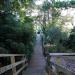 Harry Street Stairs in San Francisco, California city